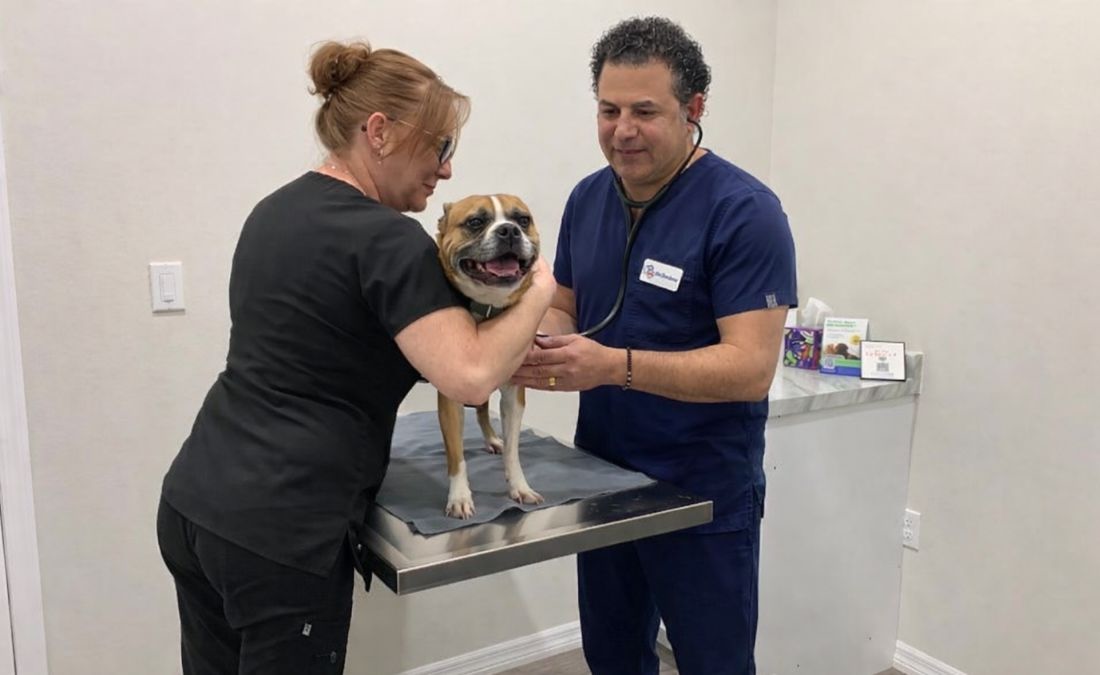Collier Parkway Animal Hospital Doctor and vet staff working with a dog