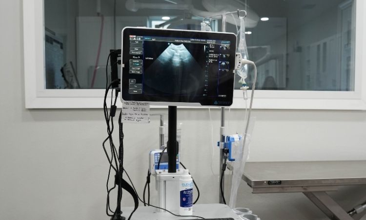 Collier Parkway Animal Hospital Ultrasound Machine